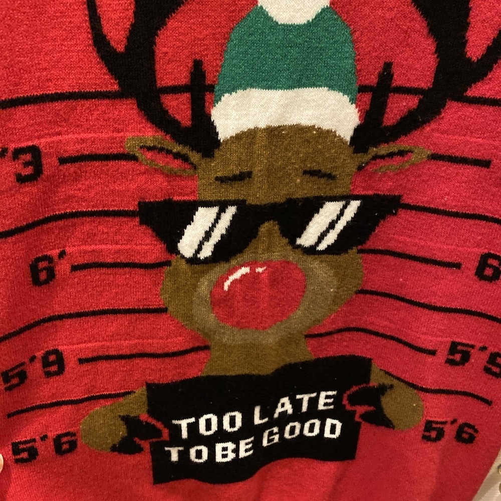 H&M Ugly Christmas Sweater Youth 14 Red Reindeer Bad Good Mugshot - Picture 4 of 7